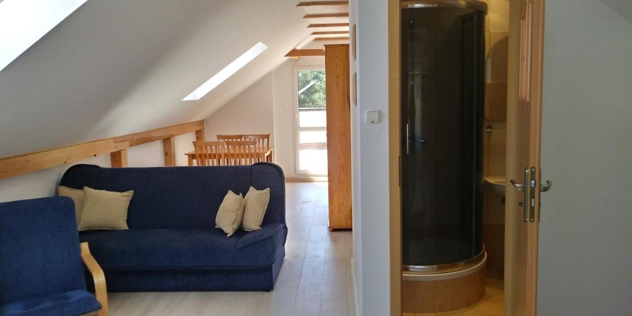 Dom Goscinny Przy Lesie Homestay *